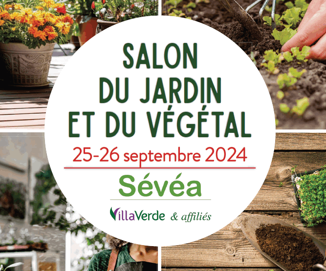 Affiche salon Villaverde